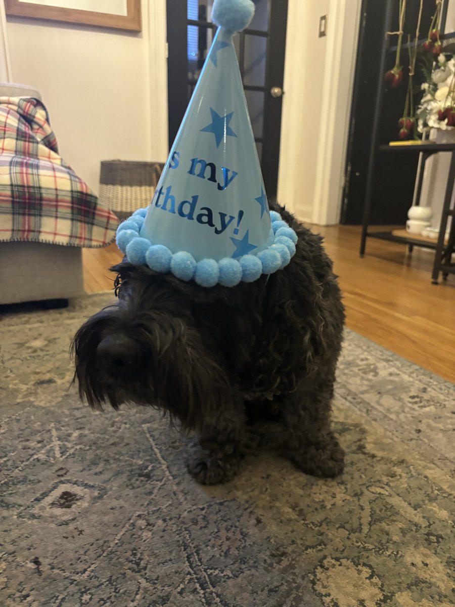 Steven Mayen tweet media