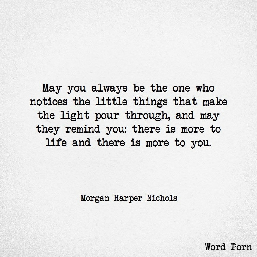 TheParentCarer's tweet image. Beautiful. X

#1amClub