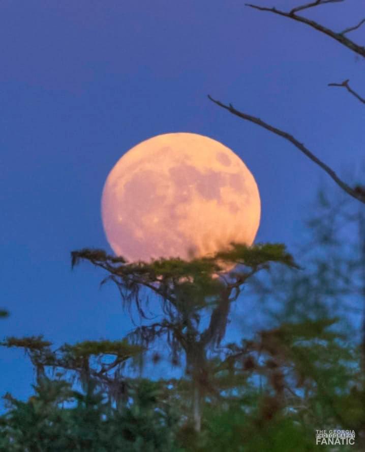 Geceye ay düşer, aklıma gözlerin. 
Bu nasıl özlemek...

                      Nazım Hikmet