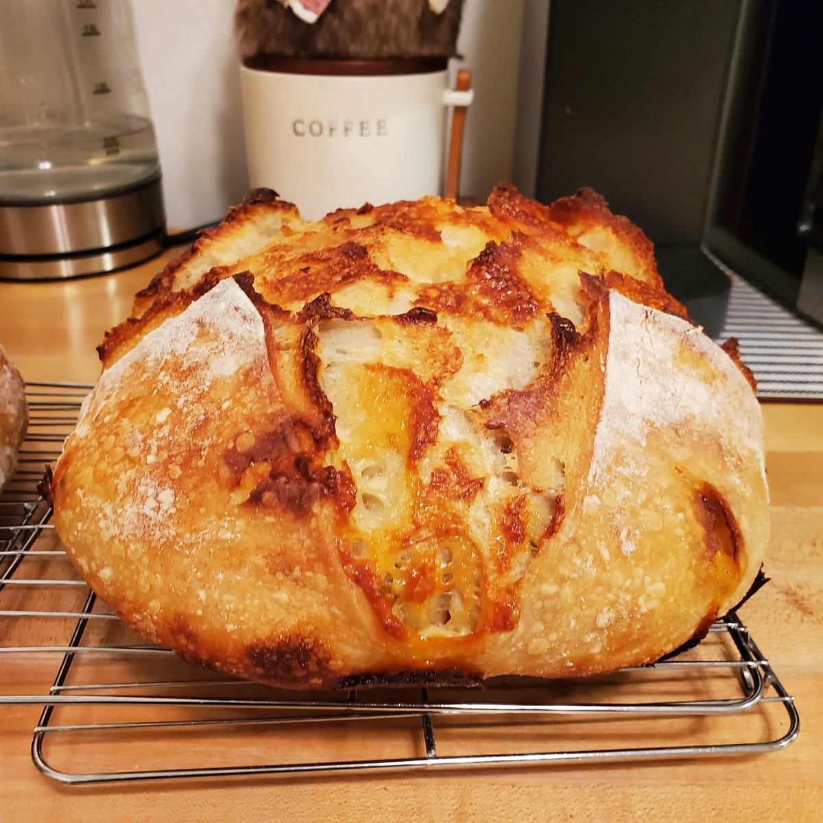 ReneaLynnMN's tweet image. Today Bake 😍
Customer order 🤍
Green Olive and Pepper Jack 
#sourdough #bread #microbakery