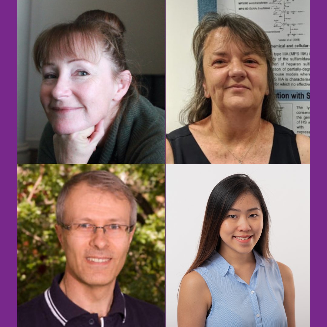 Project Update: Prof Kim Hemsley at @FlindersHmri, Prof @VitoFerro8 at @UQ_SCMB & Drs Louise O’Keefe & Sher Li Tan @UniofAdelaide completed their Incubator project on purinergic signalling in #Sanfilippo funded by @SFCFoundtn. READ MORE: bit.ly/49qrWVq #ChildhoodDementia
