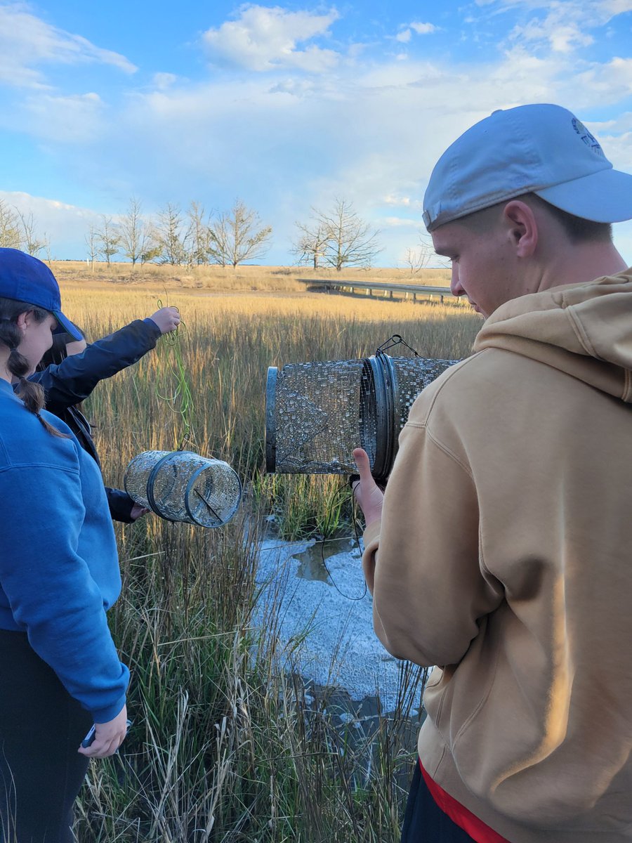 Hosted my awesome class of marine science students at the coast this weekend - they ran a predation experiment and dissected fish for gut contents. Had lots of fun learning about coastal ecology and practicing research skills! @SEOE_USC @UofSC