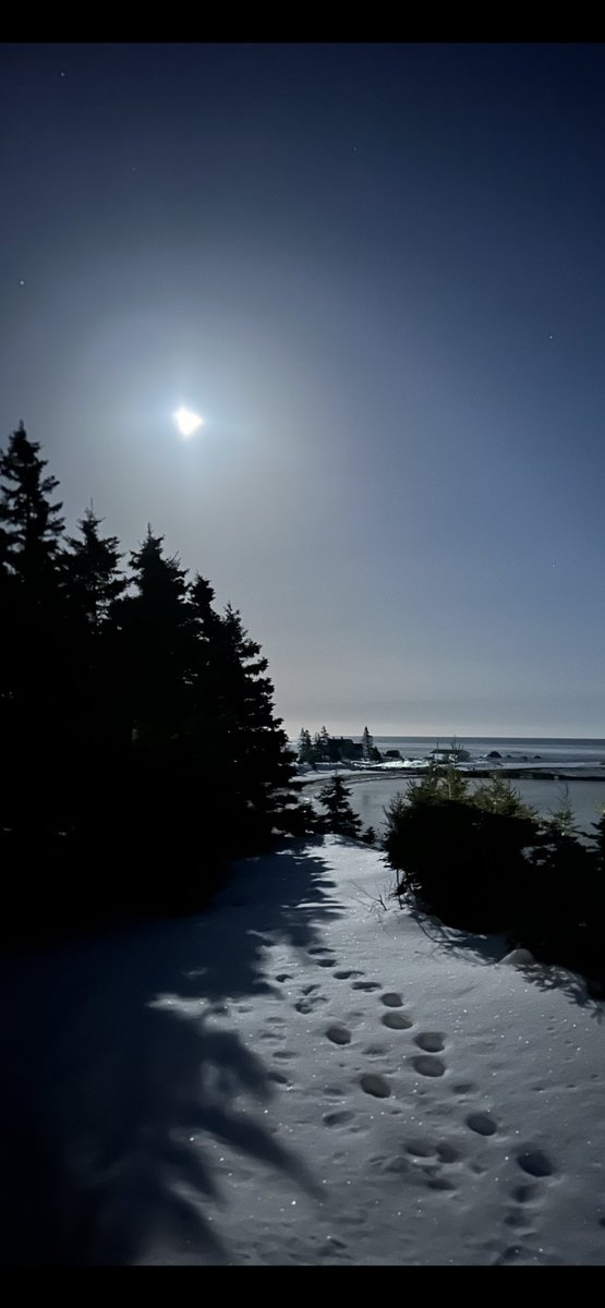 Ingonish, Cape Breton, Nova Scotia…under a beautiful moon.