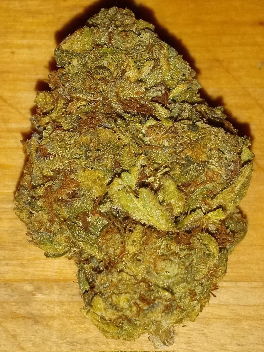 Biscotti Bud looks yummy 😋 #CannabisLegalisierung #cannabisculture #cannabisindustry #cannabis #420friendly #420community #420Life #Trump2024TheOnlyChoice #Weedmob #WeedLovers #weedlife #StonerFam #stoners #STONER #marijuana #Mmemberville