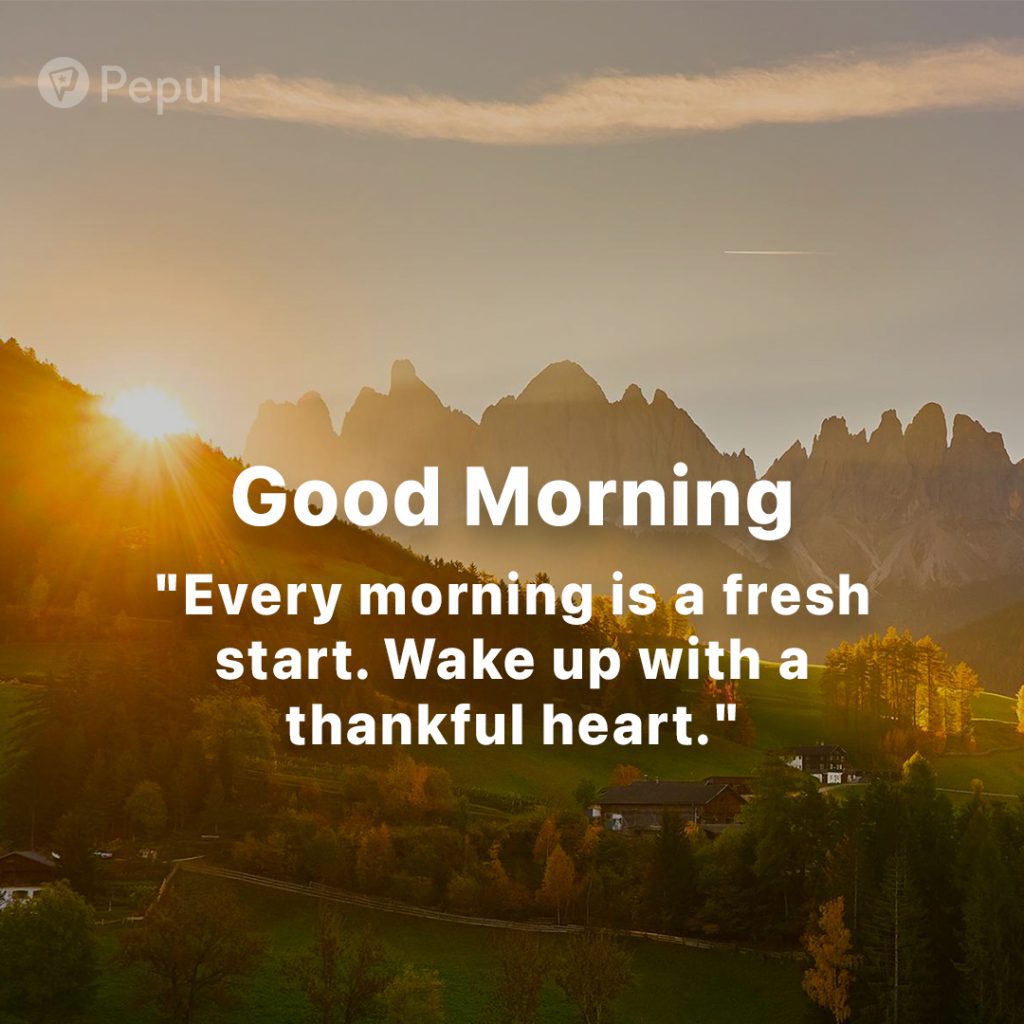Asalam O Aliakom!
Good Morning 🌞
Have a wonderful day y'all ❤️
