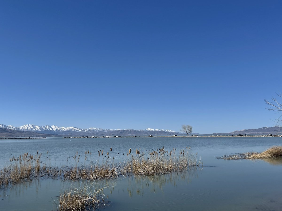 Thomas Geboy tweet media