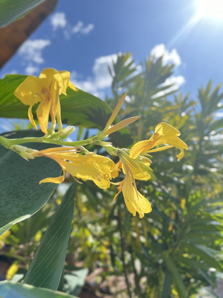 🤍 Kumpha tweet media