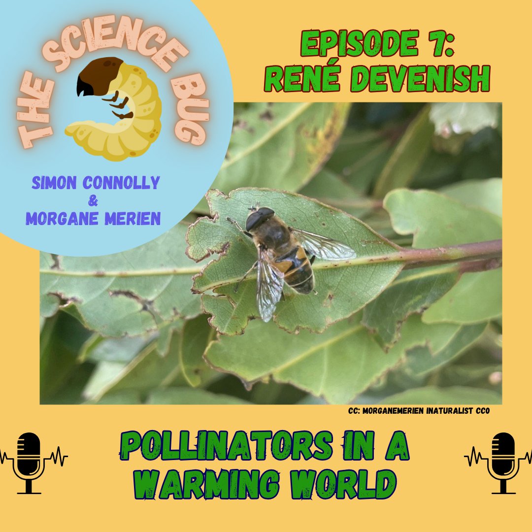Cute bees and climate change?! Simon interviews René Devenish <a href="/EcologistRene/">Rene Devenish</a> about pollinators in a warming world.

You can listen on Spotify, iTunes or here: accessmedia.nz/ProgrammePage.…