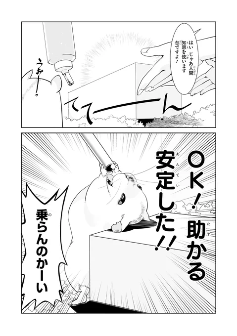 ハムスターとの日常(2/6) 