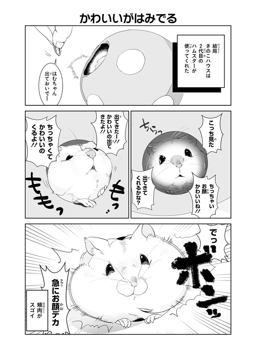 ハムスターとの日常(3/6) 