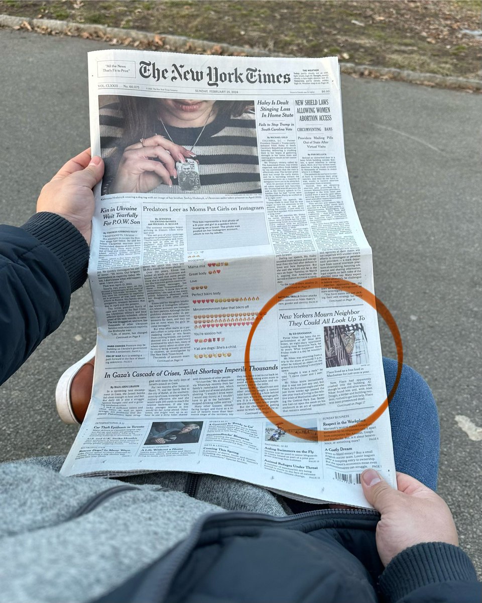 David Lei tweet media