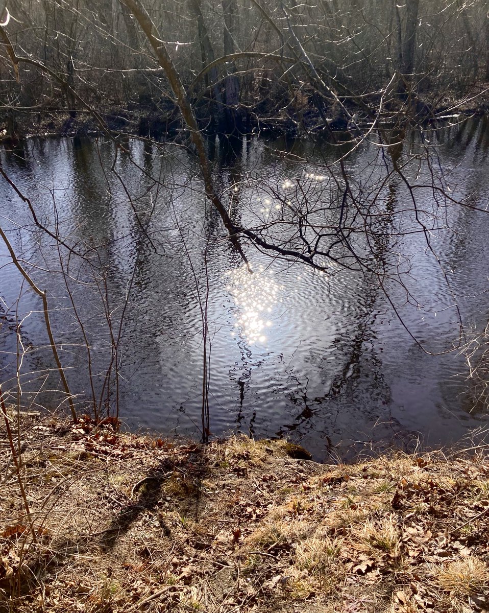 Allone34789's tweet photo. #NaturePhotography
#Naturephotography
#photography #Photography 
#nature #naturelovers
#sunreflection
#stream #outside #seasons 
#February  #naturesbeauty
#winter #Sundaywalk https://t.co/VzqdQK3dvZ