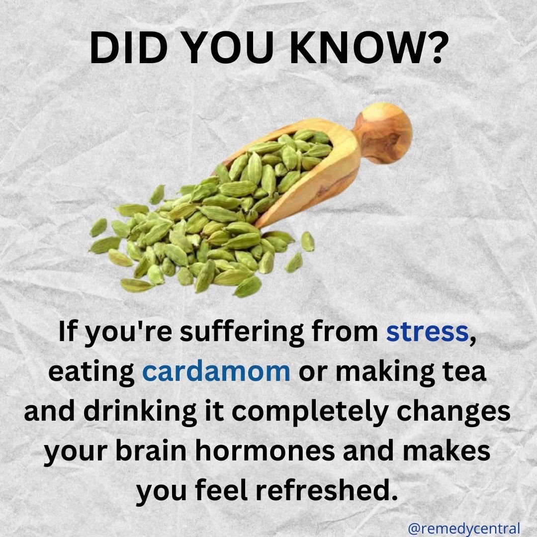 你可知道？ 如果你承受壓力，吃小荳蔻或泡茶喝會徹底改變你的大腦荷爾蒙，讓你感覺神清氣爽。