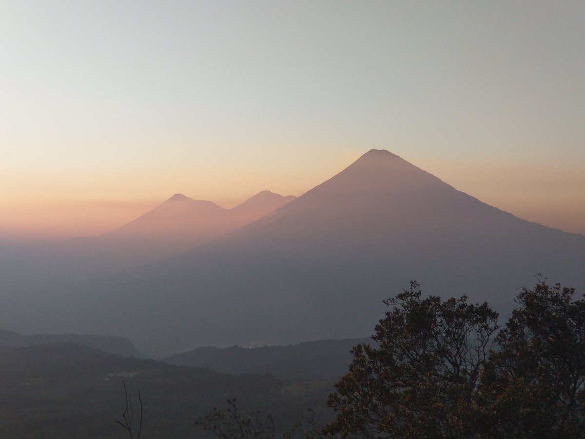 Prof Matthew Watson tweet media