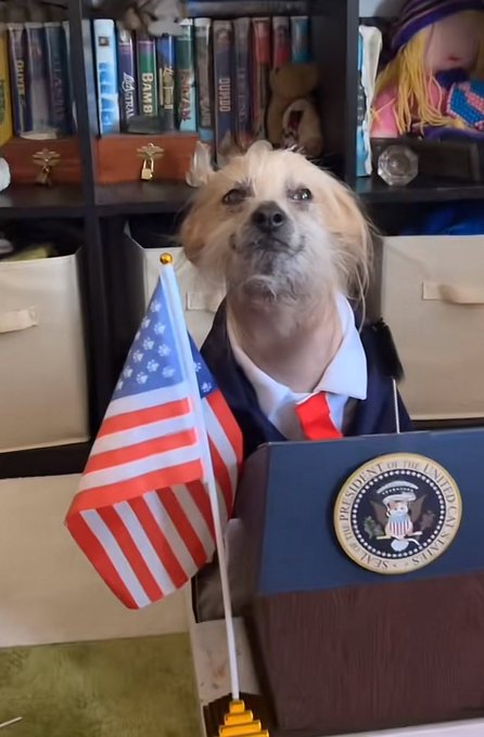 this is MY president https://t.co/WP6rNwDNpi