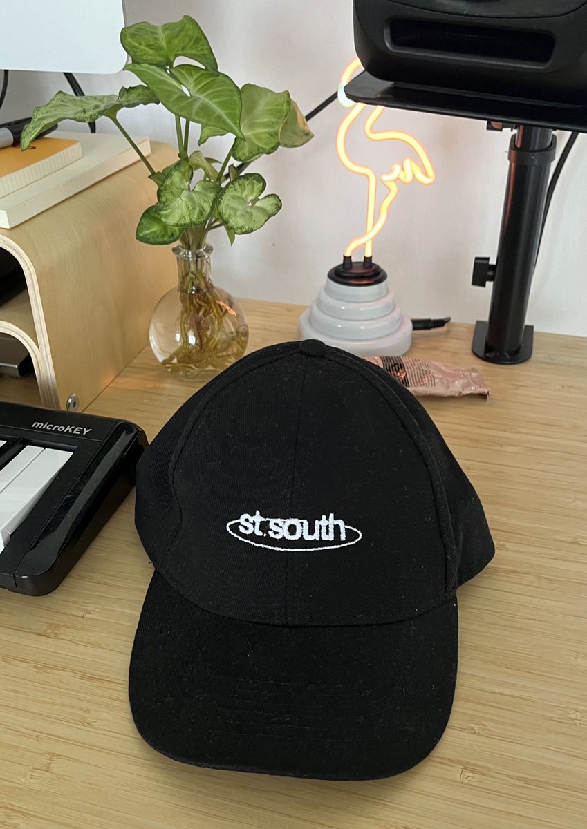 pre-save my upcoming single and you could win this cute hat hehe stsouth.ffm.to/didntneedyou