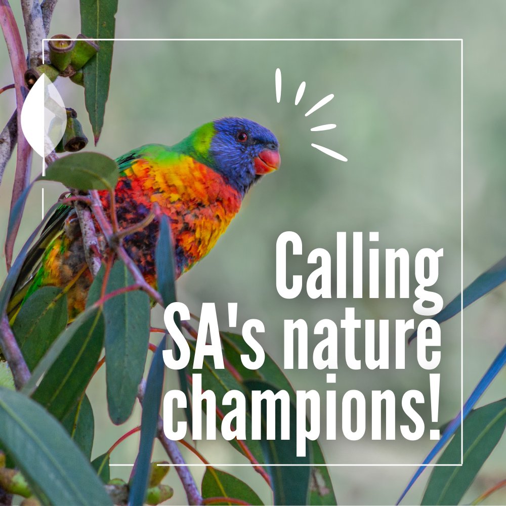 Calling all environmental champions! Nominations for the 2024 Environment Awards are now open. The awards are all about shining a light on the amazing people, groups and organisations who give their time and talents to help care for our environment. 👉
saenvironmentawards.org.au