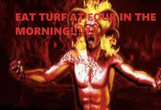 Eat Turf (We Do) (@eatturf) on Twitter photo 