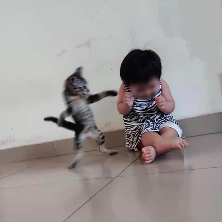 Peterlyduong's tweet photo. Kunggggfuuuu https://t.co/NoBeeNdhkv