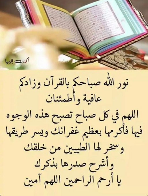 fatma😇 فآطـمـ‏‏هہ🦋 (@fatma_m922) on Twitter photo 