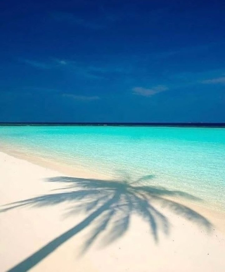 ViajaEnElMundo's tweet photo. necesito playaterapia. https://t.co/YZKMiTNljm