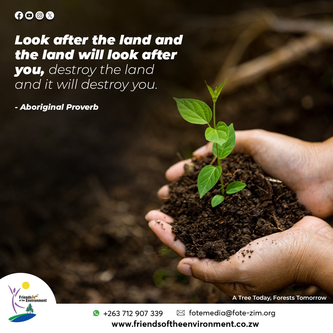 Motivational Monday #PlantATreeToday #EcosystemRestoration #BuildingCommunitiesTogether @forestrycom1 @EMAeep @WWFZimEarthHour