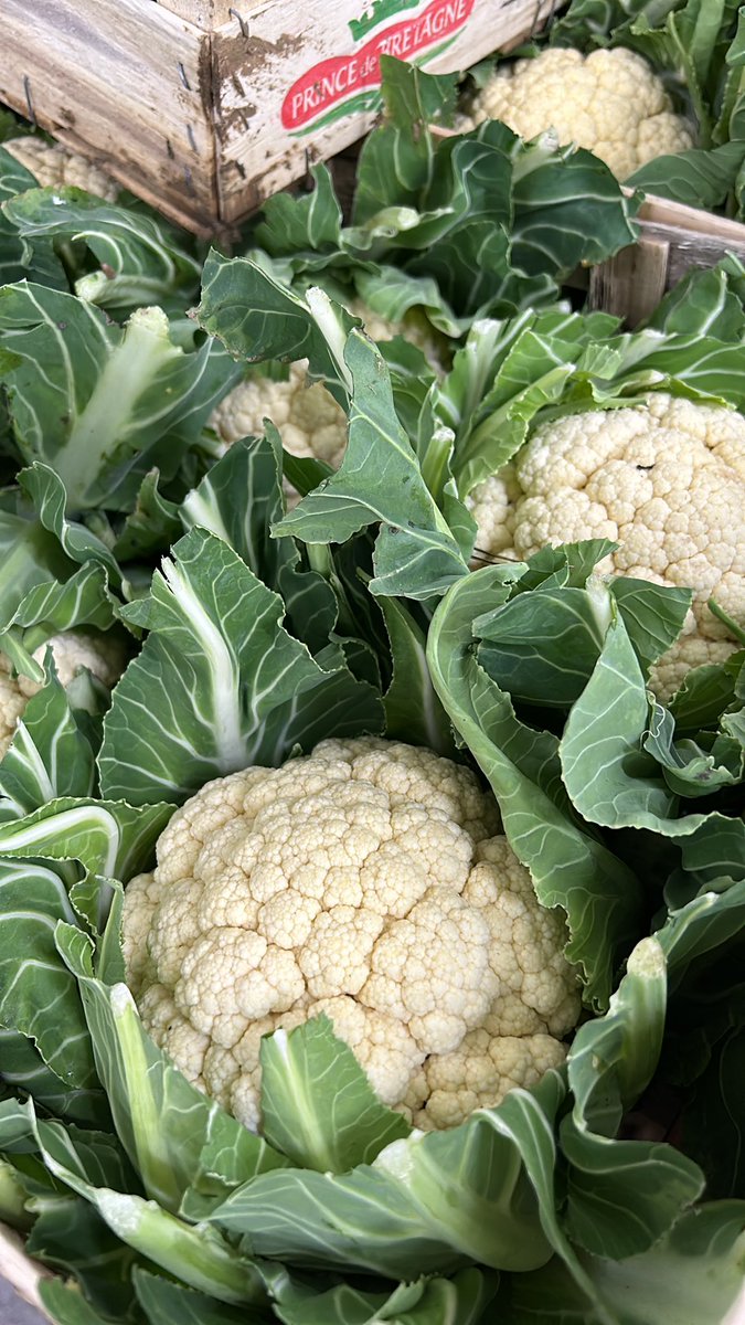 The UK Cornish Cauliflower has seen a change this week