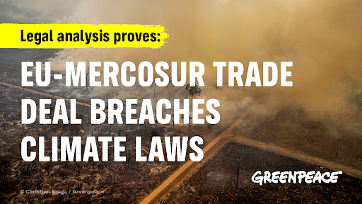 BREAKING 🚨New legal analysis shows #EUMercosur deal breaches EU and international #climate laws, like the Paris Climate agreement.

If adopted, it will lead to increases in greenhouse gas emissions and deforestation.

👉greenpeace.org/eu-unit/issues…

@VDombrovskis 

1/2🧵