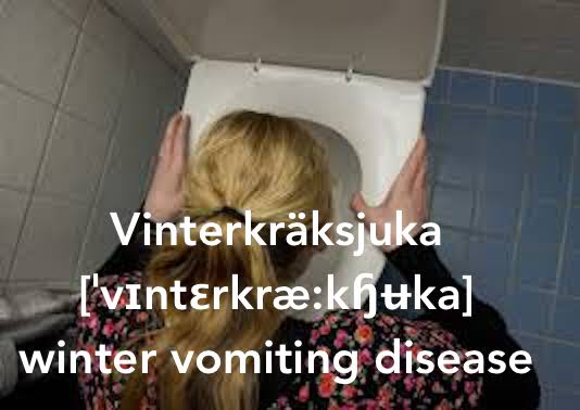 SpeakSwedish's tweet photo. One of the most unpleasant things about winter in Sweden is not necessarily the weather, more what i can bring along. As the "vinterkräksjuka" (Winter vomiting disease). Yeah...
#spya https://t.co/7e4o1xxF5x