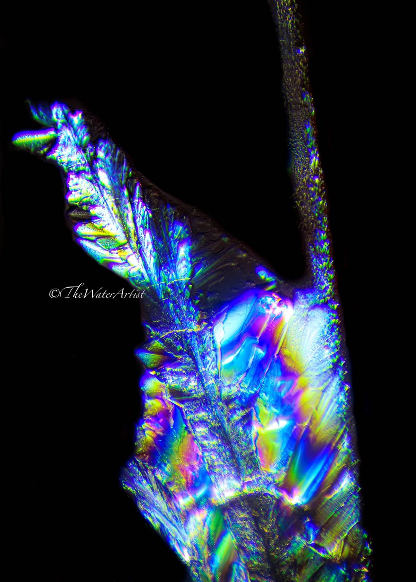 "I Am the Beckoning Call" , "Gaze into the sky on a clear, dark, moonless night, and you will see thousands of pinholes of light - each one a massive, magnificent star in a Universe too large to imagine"~ Dr. Bruce Lipton <a href="/biologyofbelief/">Bruce H. Lipton, PhD</a> Patreon <a href="/thewaterartist/">Peter Pan Demic</a>  #encodethewater