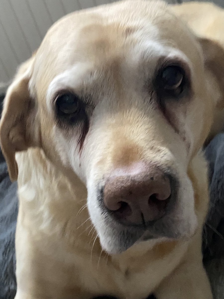 Sir Johnny OBE tweet media