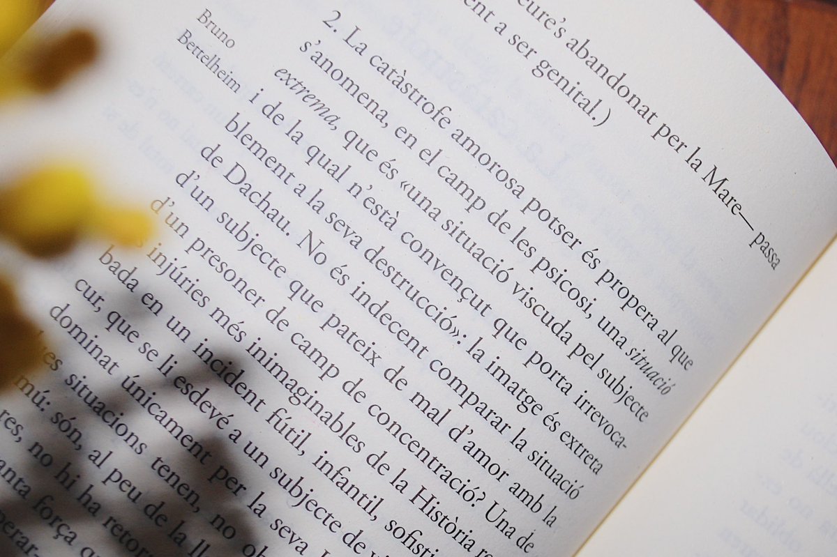 Marina Laboreo tweet media