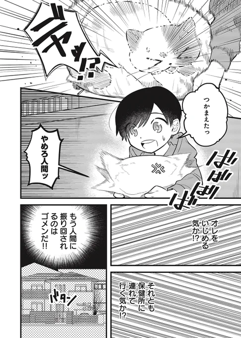 (3/6) 