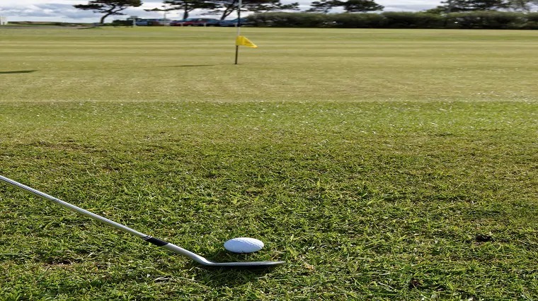 DavisGarciaDG's tweet photo. There are few greater feelings than bringing home a new golf club.  #golfswing #outdoors #golfaddict #golfingday https://t.co/B0D8QthVHE