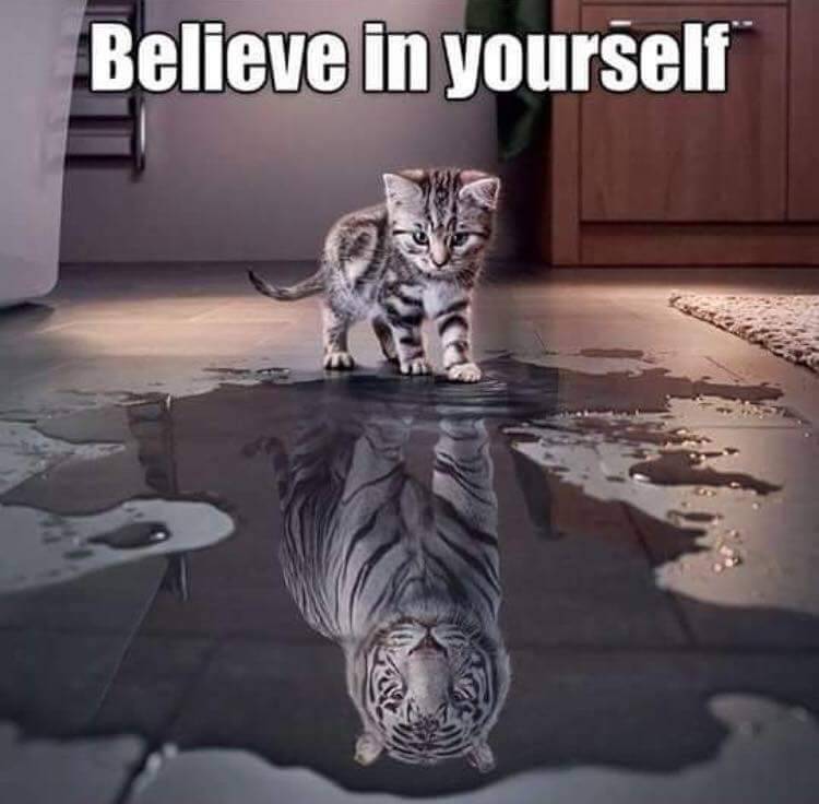 Believe in yourself #MondayMotivation #PositiveAction #Mindflow #Mindset