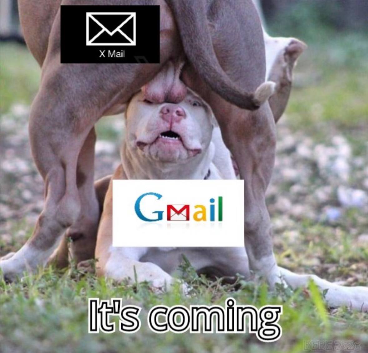 #XMAIL It's coming with good tech 📈