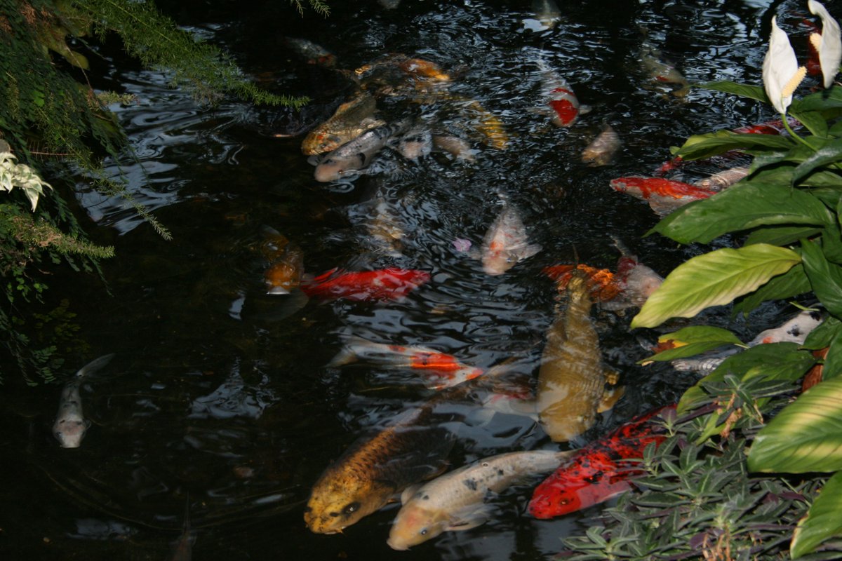 "The true alchemists do not change lead into gold; they change the world into words."
- William H. Gass
#Mondaymotivation 
#Amwriting
#Writerslife
#Writetip