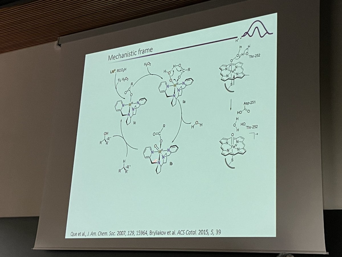 Now on stage <a href="/MiquelCostas/">Miquel Costas</a> talking on site/enantioselective CH bond #oxidation at <a href="/SISOC2024/">SISOC2024</a>. Fabulous work from <a href="/ugirona/">Un Girona</a> and <a href="/IQCCUdG/">IQCC UdG</a>
