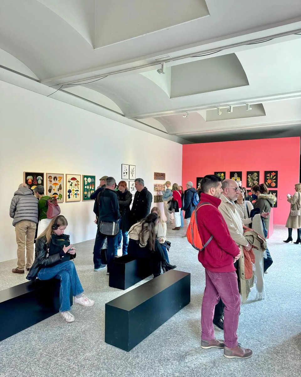 RJBOTANICO's tweet image. Resumen gráfico del ambiente que ha tenido la exposición: ELLAS ILUSTRAN BOTÁNICA el fin de semana. El entusiasmo con la belleza de las obras expuestas ha sido increíble. Gracias por la gran acogida.📷: @Adellanotte 🙏
📍: Pabellón Villanueva. @RJBOTANICO 
🗓️: Hasta 18 MAY