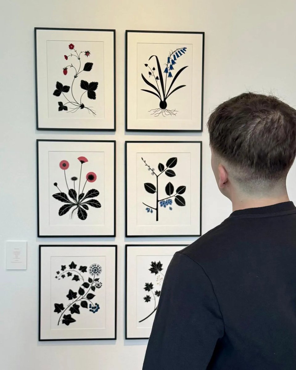 RJBOTANICO's tweet image. Resumen gráfico del ambiente que ha tenido la exposición: ELLAS ILUSTRAN BOTÁNICA el fin de semana. El entusiasmo con la belleza de las obras expuestas ha sido increíble. Gracias por la gran acogida.📷: @Adellanotte 🙏
📍: Pabellón Villanueva. @RJBOTANICO 
🗓️: Hasta 18 MAY