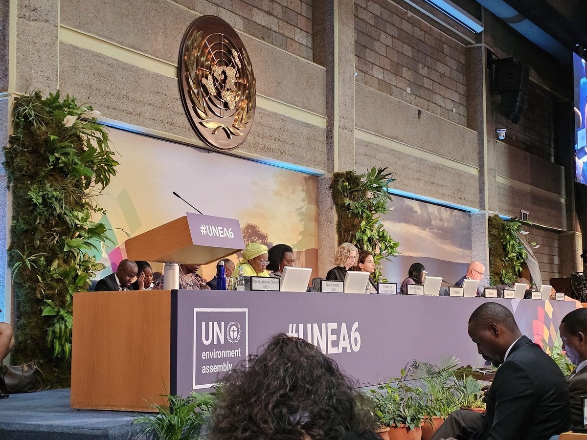 Here we go! #UNEA6 underway...