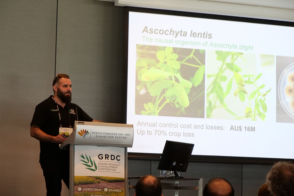 It was great to have so many of our students presenting at the New Researcher's session at the <a href="/GRDCWest/">GRDC West</a> #GRDCUpdates 🌿  Be sure to find them over the next few days if you want to chat about their research! <a href="/tony_ancy/">Ancy Tony</a> <a href="/SArundhatiS/">Arundhati Singh</a> @JWDebler