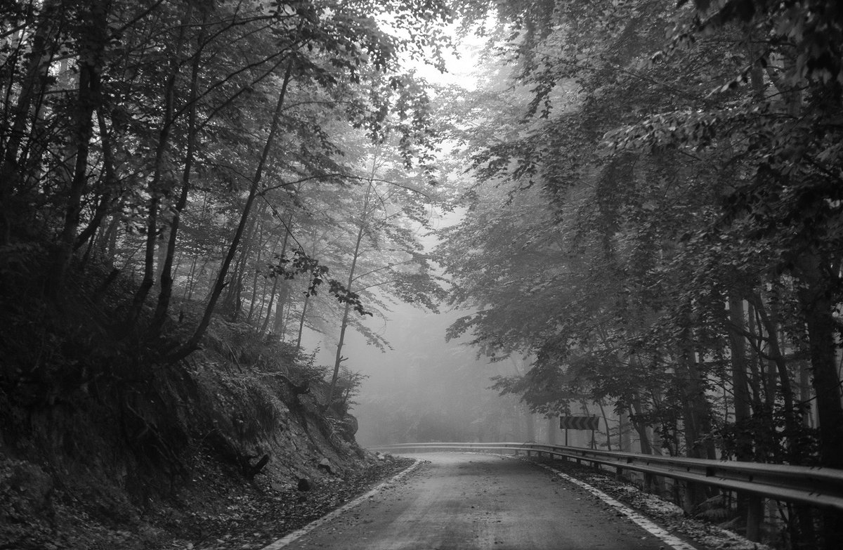 Ayaz Yildiz (New Account) -NFT.NYC24 tweet media