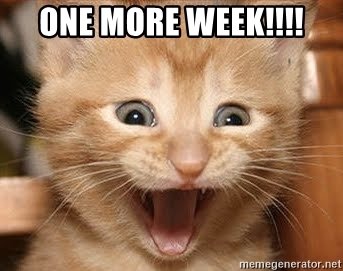 One final week until the #COSIT2024 extended full paper deadline.