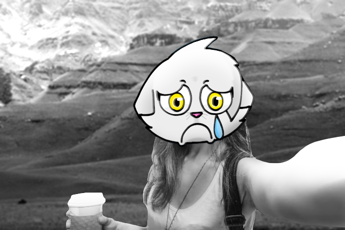 KayatKitten's tweet photo. Hi guys, my first tweet I think https://t.co/0i36r12Elz