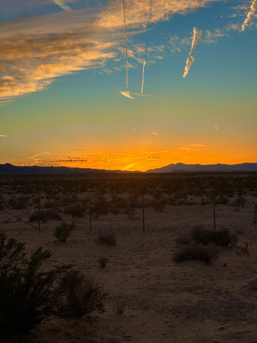 Joshua Tree, California, USA