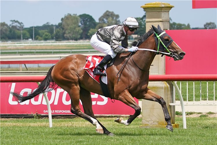 Swettenham Stud tweet media