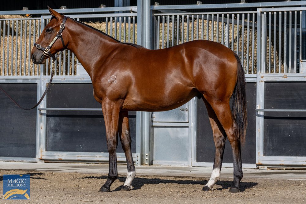 Swettenham Stud tweet media