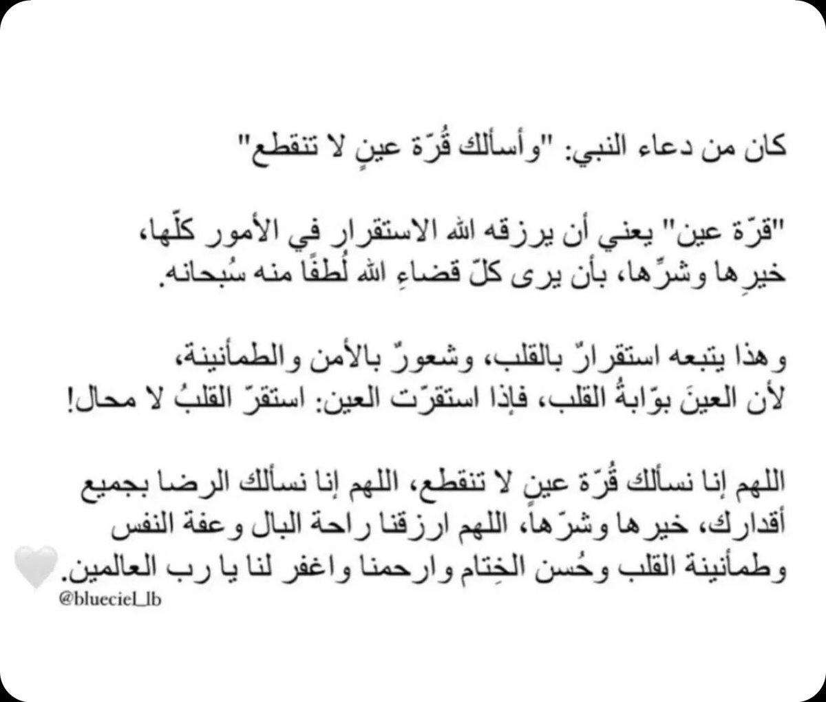 403AMAl's tweet photo. https://t.co/VlSbQkLEJJ