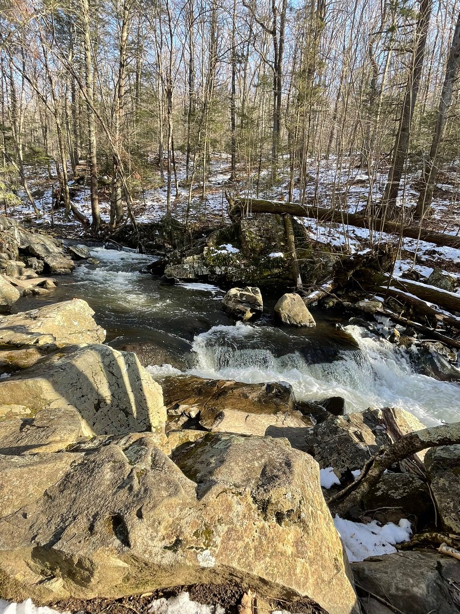 OnlyForFun2021's tweet photo. Nice river walk https://t.co/xlhOeoCj6G